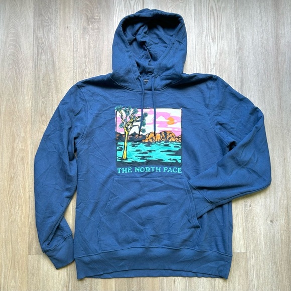 The North Face Other - The North Face Blue Graphic Injection Hoodie Shady Blue Wasabi
